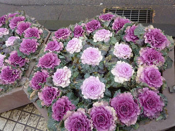 resize2234.jpg
