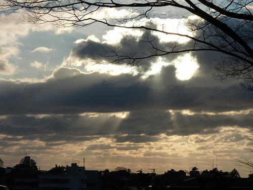 resize2252.jpg