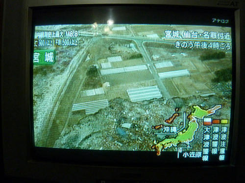 resize2385.jpg