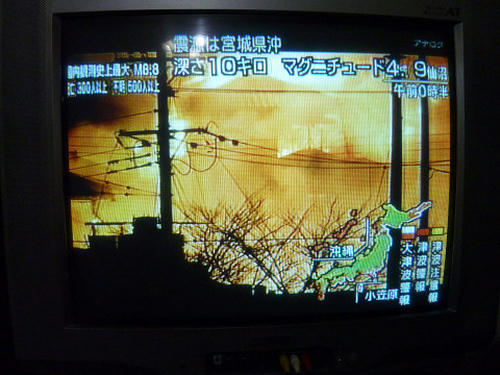 resize2384.jpg