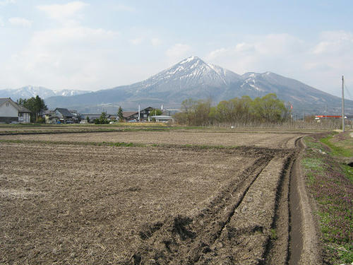 resize2392.jpg