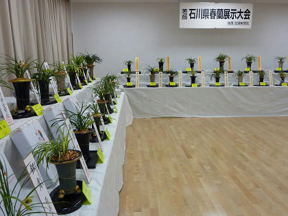 resize2412.jpg