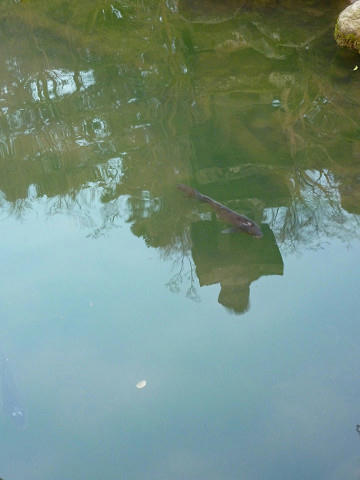 resize2478.jpg
