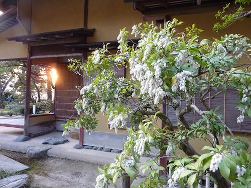 resize2514.jpg