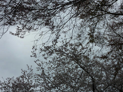 resize2537.jpg