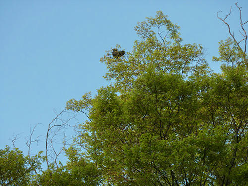 resize2566.jpg