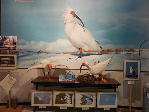 resize2582.jpg