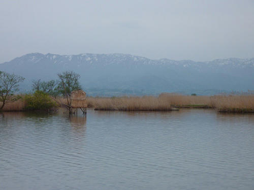 resize2592.jpg