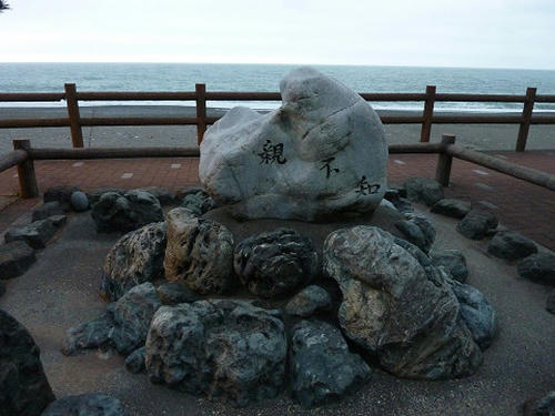 resize2604.jpg
