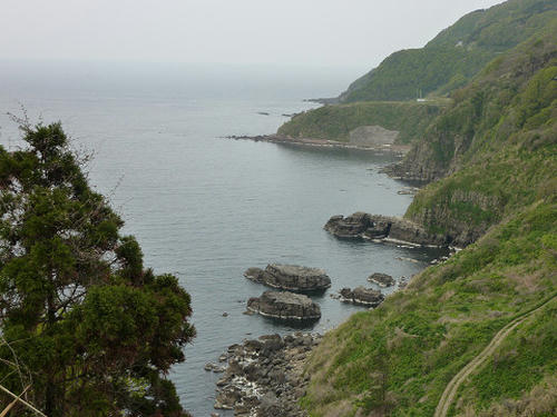 resize2611.jpg