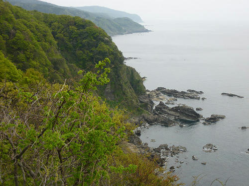 resize2612.jpg
