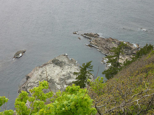 resize2613.jpg