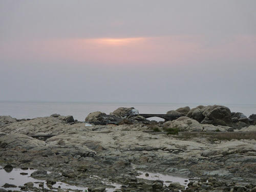 resize2616.jpg