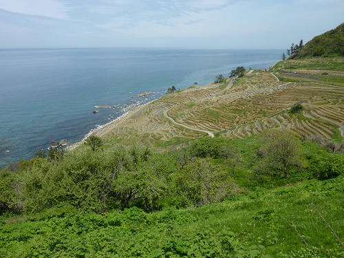 resize2624.jpg