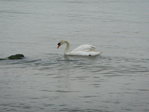 resize2644.jpg