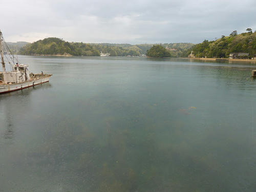 resize2645.jpg