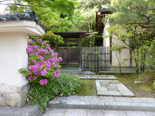 resize2658.jpg