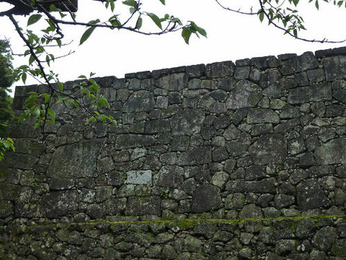 resize2781.jpg