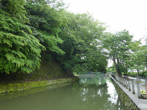 resize2782.jpg