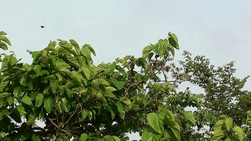 resize2802.jpg