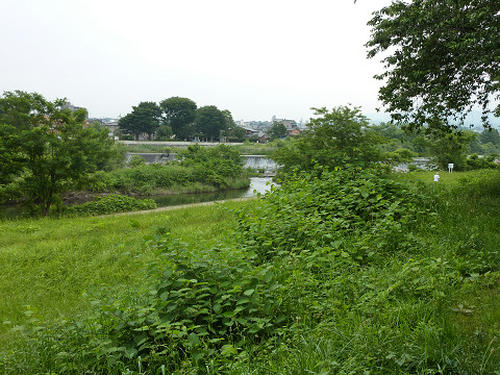resize2814.jpg