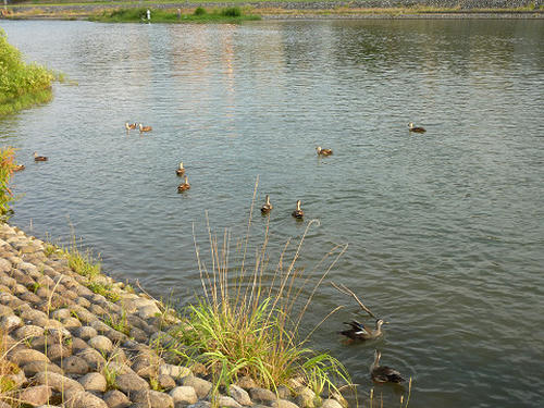 resize2871.jpg