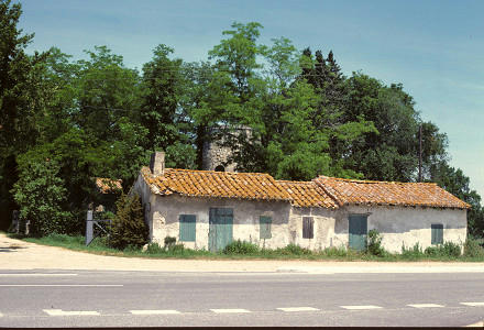 resize2892.jpg