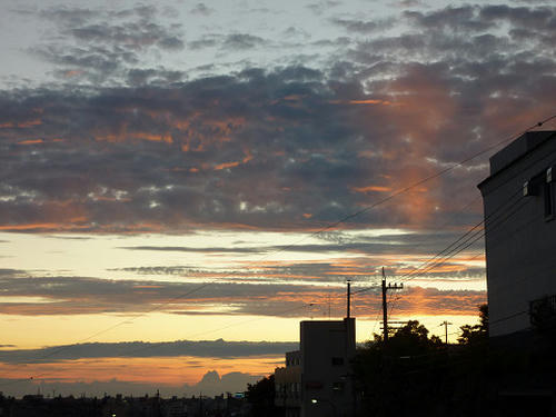 resize2900.jpg