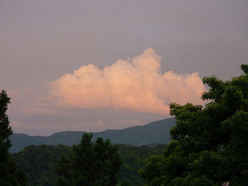 resize2899.jpg