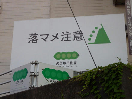 resize2919.jpg