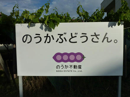 resize2913.jpg