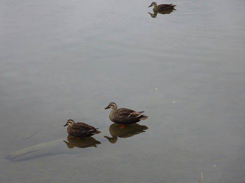 resize2977.jpg