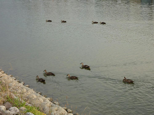 resize2996.jpg
