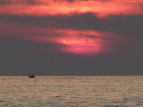 resize3024.jpg