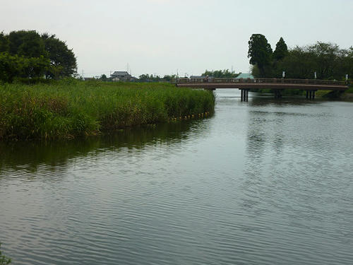 resize3027.jpg