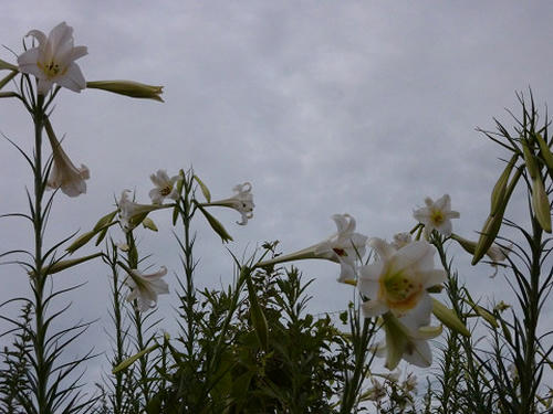 resize3099.jpg