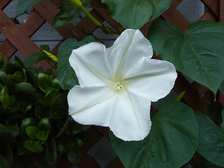 resize3113.jpg