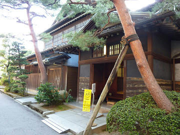 resize3177.jpg
