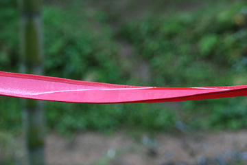 resize3296.jpg