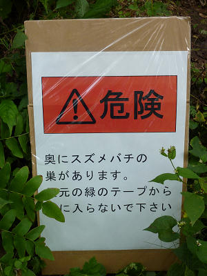 resize3294.jpg