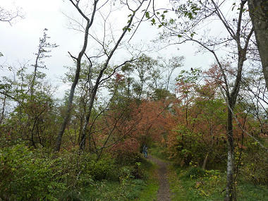 resize3334.jpg