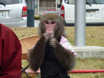 resize3356.jpg