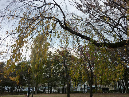 resize3364.jpg
