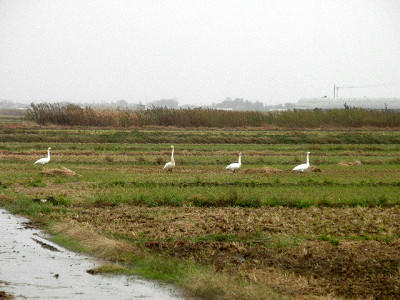 resize3389.jpg