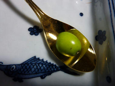 resize3479.jpg