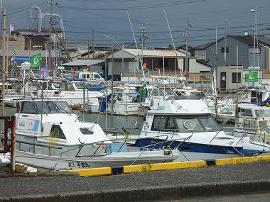 resize3491.jpg