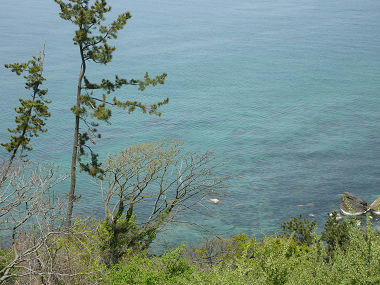 resize3777.jpg