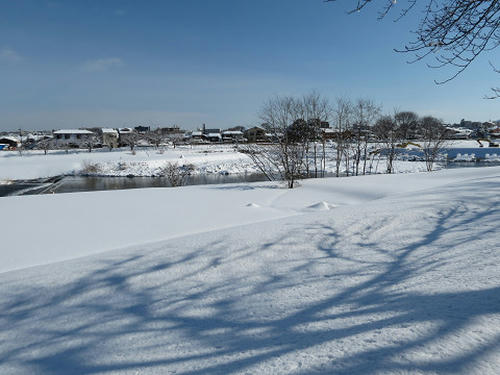 resize3904.jpg