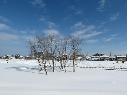 resize3906.jpg