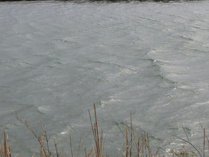 resize4237.jpg